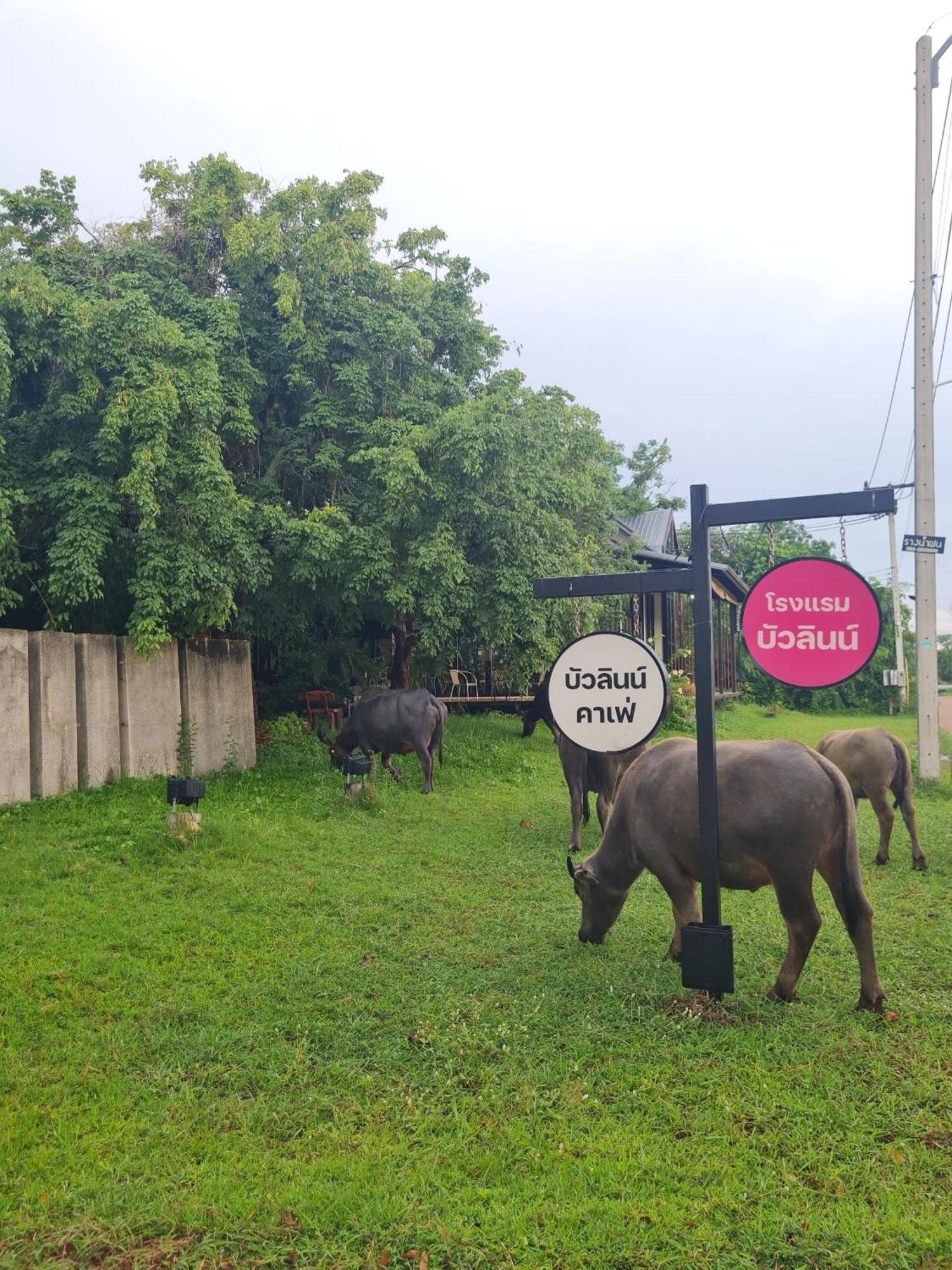 บัวลินน์ รีสอร์ท หนองคาย ภายนอก รูปภาพ